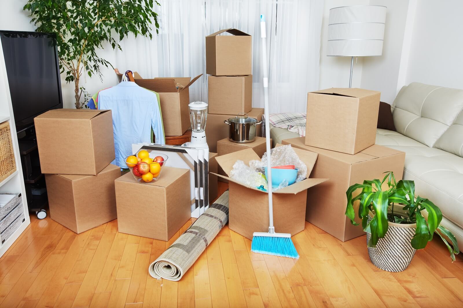 Move in and move out cleaning services in London Ontario